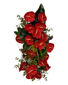 Funeral arrangement with red anthurium